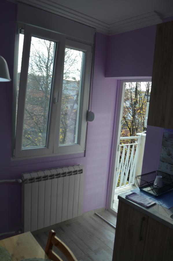 Apartman Gloria 2 Belgrade Luaran gambar